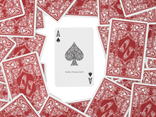 Load image into Gallery viewer, Plastic playing cards, bridge size, double pack, standard index